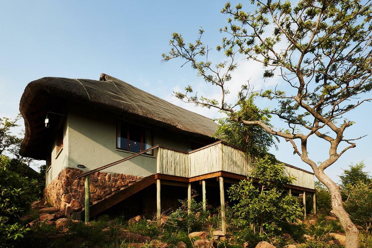 Mhondoro Safari Lodge & Villa Welgevonden Game Reserve Zewnętrze zdjęcie